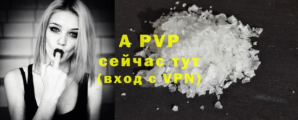 стаф Инсар