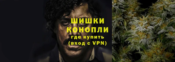 стаф Инсар