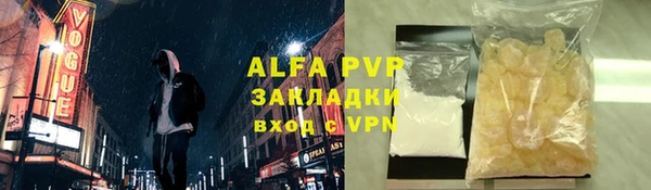стаф Инсар