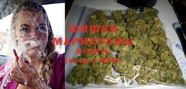 стаф Инсар