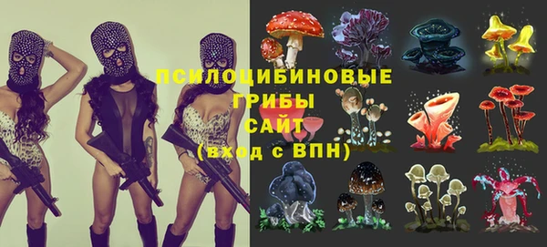 прущая мука Каменка